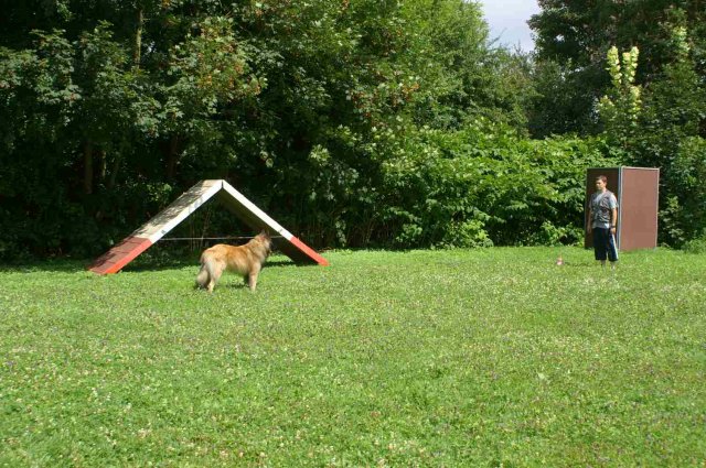 obeissance 2014-08-02